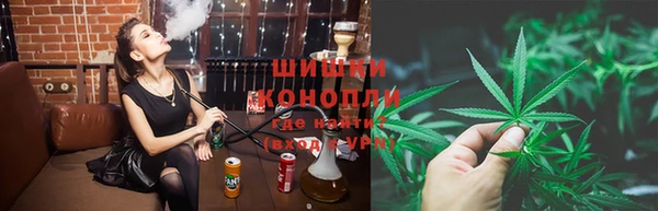 молекула духа Пересвет