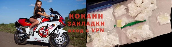 молекула духа Пересвет