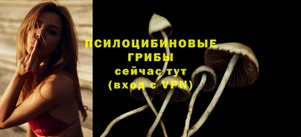 mix Белокуриха