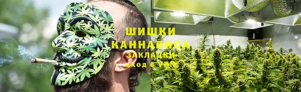 молекула духа Пересвет